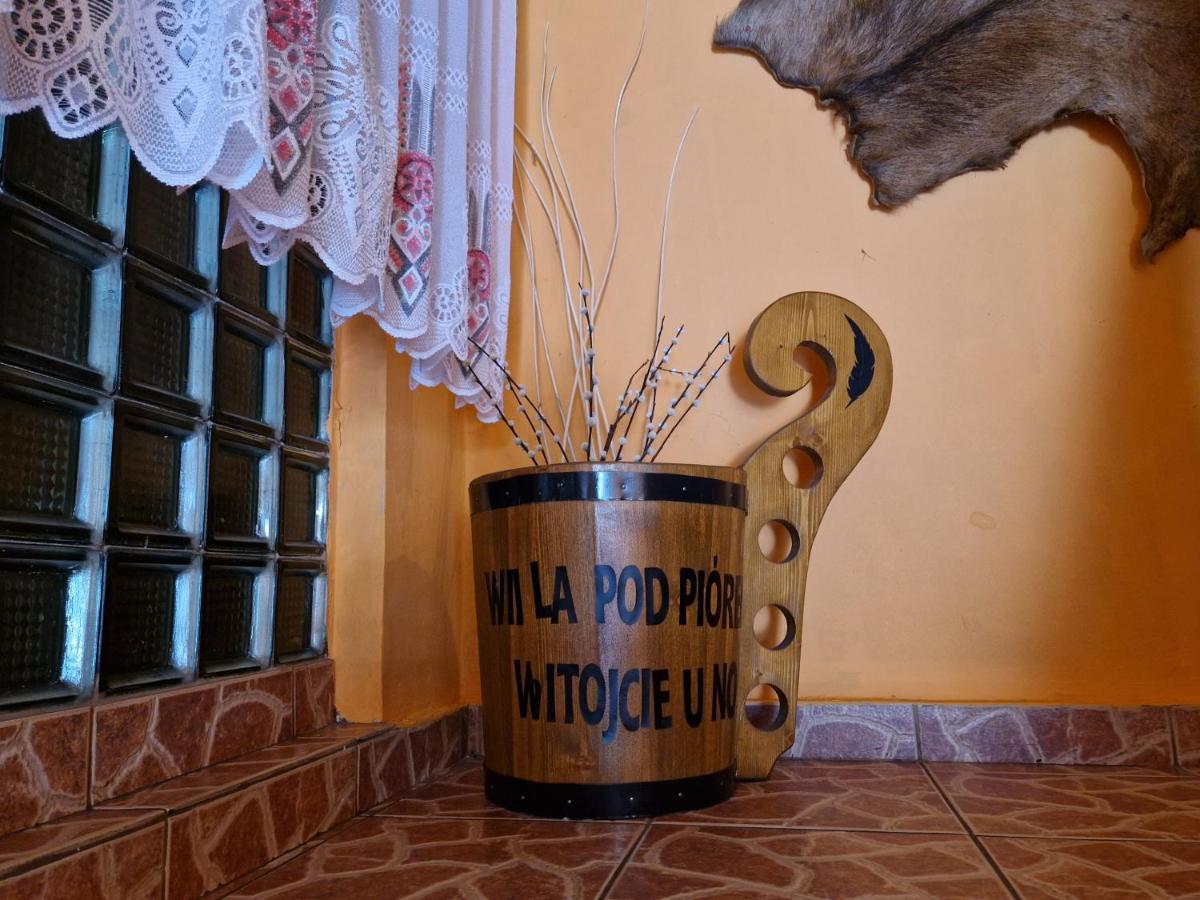 Willa Pod Piorem Закопане Экстерьер фото